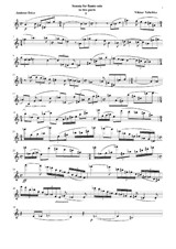 Sonata for Flute Solo in Two Movements